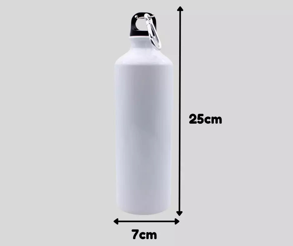 Metal 20oz Bottle